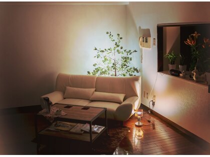 ルームパピヨン(room papillon)の写真