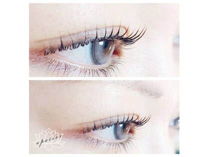 アペゼ(apaiser)の写真