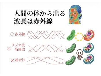 ヘルディン(heldin +555)/人間から出る波長は赤外線