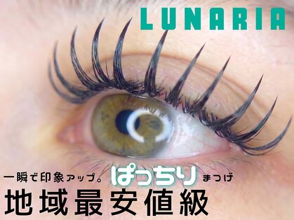 ルナ(Lunaria)の写真