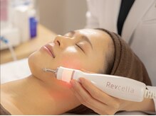 ラナンキュラス(Ranunculus)