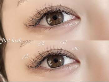 エルデ(Erde)/フラットラッシュ120本