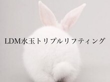 ハーゼ(Hase)/LDM/水玉トリプルリフティング