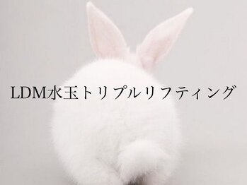ハーゼ(Hase)/LDM/水玉トリプルリフティング