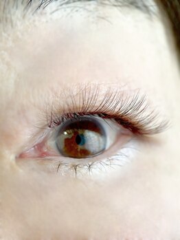 ムニ(muni)/LEDボリュームラッシュ80束