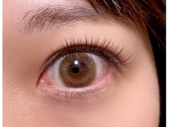 アンジープラス(ANZY+)/フラットラッシュ120本(60/60)