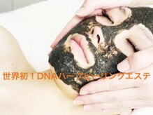 ビューティツリー(beauty tree)の雰囲気（首デコルテ/ヘッドマッサージ国産ハーブエステでお肌のお悩みに）