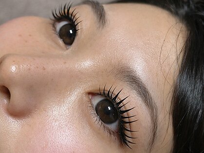 モルレーヴ(MOLREVE)の写真