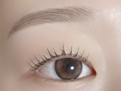 フィーロ(filo)の写真