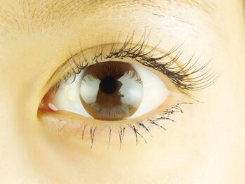 マサジ (Masaji)/片目120本デザイン