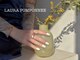 ローラポンポニー(Laura pomponnee)の写真