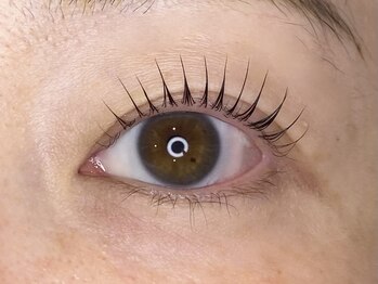 エルレ(ELRe)/根元からパッチリ!