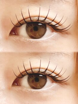 ハウオリ(Hau'oli)/フラットラッシュ140本