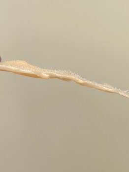 ハレモアナ(HALE MOANA)/フェイスワックス