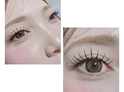 プリュムアイラッシュ(plume eyelash)の写真