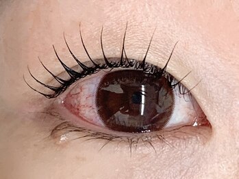 ベリーノ 五反田(Bellino)/まつげパーマ