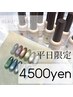 【平日限定】ハンドマグネットorフラッシュネイル 4500円／ソフトオフ込み