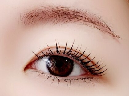 グレース(Grace)の写真