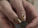 持ち込みニュアンストレンド