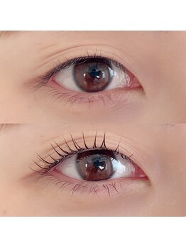 ミール(mir)/before after