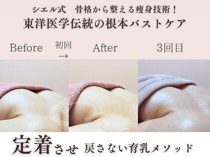 シエル(Siele)の写真