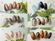 パスリー ネイルアンドケア(Parsley Nail&Care)の写真