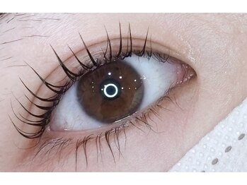 ベリール 南平岸店(Be'Leel)/まつ毛パーマ