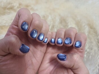 トランク(Trunk)/マグネットワンカラー