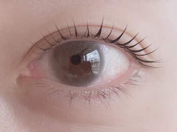 ホリー(holly)の写真/[札幌大通駅徒歩5分］アイブロウ×まつ毛パーマのセットで目元から一気に垢抜ける♪朝のメイク時短にも◎