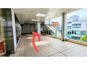 ホールハーモニー 上大岡/道案内