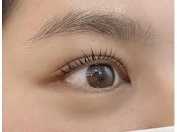 ペルシャ(Persian)/お客様デザイン(担当/長島)