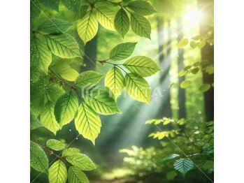 リアン(Lien.)/野草、和ハーブで