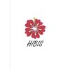 ハイビス(HIBIS)のお店ロゴ