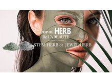 ランタン(Lantern)/ハーブトリートメント