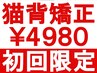 ★初回限定★　猫背や姿勢を矯正・改善◎ 整体 60分 ￥9000→￥4980