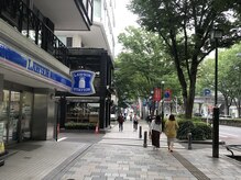 アオイ 表参道(Aoi)/道順[ヘッドスパ/表参道]