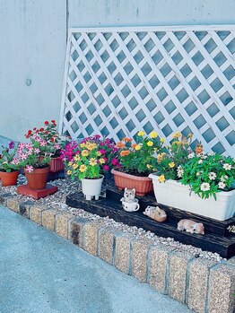 凜花/駐車場の隣にある花壇です!