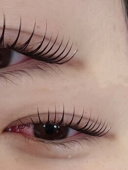 ルチア(LUCHIA)/まつ毛パーマ／立ち上げカール