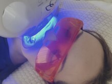 ハミーホワイト(Hammy White)