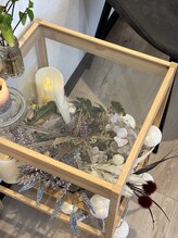 ブルーム(B.LOOM)/2月のテーブル