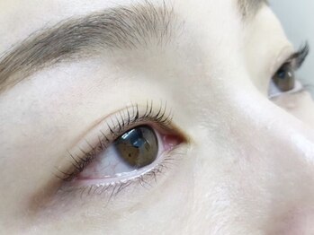 ミニョンアイラッシュデザインサロン くずは店/パリジェンヌラッシュリフト