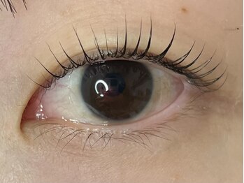 エヌプラスアイラッシュサロン(n plus eyelash salon)/まつ毛パーマ
