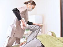 プロテア(Protea)