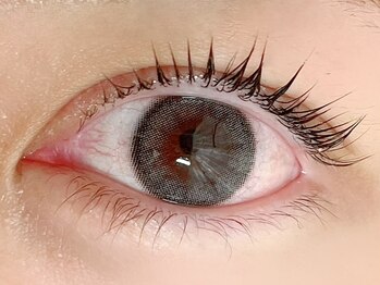 アイラ 古川橋店(EYELA)/ラッシュリフト