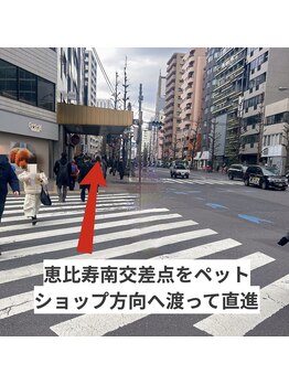 ブラジリアンワックス脱毛サロン ルラ 恵比寿(Lula)/恵比寿ブラジリアンワックス