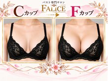 フェリーチェ 高松店(FALICE)の雰囲気（施術跡が残らないのでブライダルやデート前に即効バストアップ！）