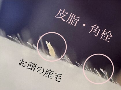 ムゥ(Mwoo)の写真