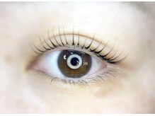 エヌジュ(N : ju)/まつげパーマ