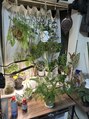 リボーン 新宿マルイアネックス店(Rebone) 部屋が植物に侵食されつつあります