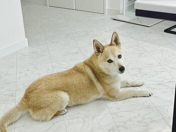 わんちゃん連れ大歓迎!